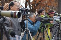 野鳥観察会の様子
